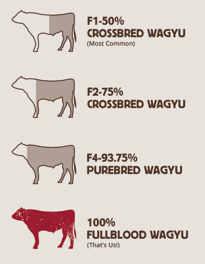 Difference Between Types of Wagyu Breeding Grade